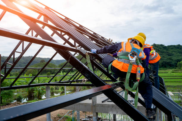Best Affordable Roofing Company  in Louisburg, NC