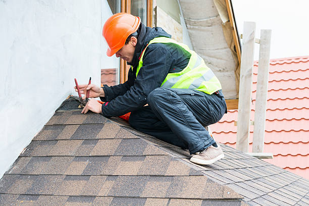 Best Roof Maintenance Services  in Louisburg, NC